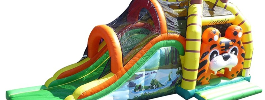 Exploring the World of SaleInflatables: A Wonderland of Fun and Quality